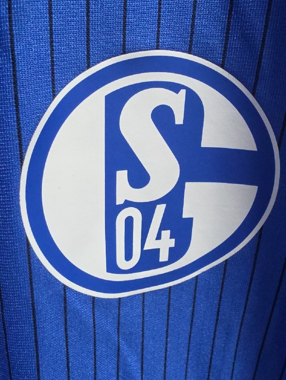 adidas Blue Schalke 04 Home Soccer Jersey - Picture 2 of 10